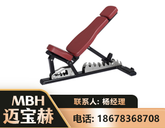 宿州可调哑铃椅